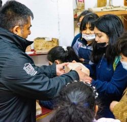 FB_IMG_1661266454441