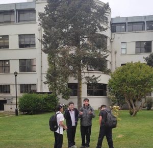IMG-20221019-WA0032
