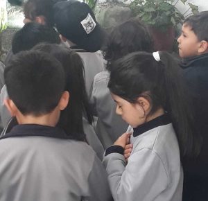 547b5758-dad3-4731-ba31-ded032ac8fd3