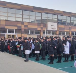 5.-20230306_080706_1