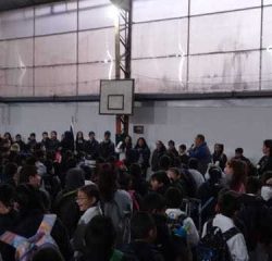 c0166252-62c8-488b-9e62-b81c2d7a6e03