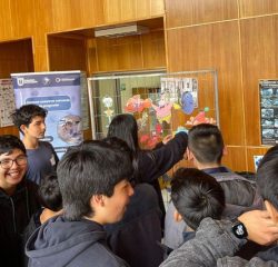 IMG-20231117-WA0041