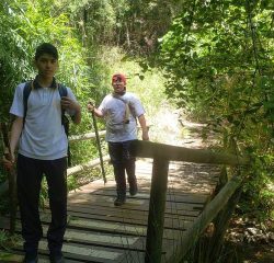 IMG-20231122-WA0040