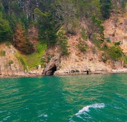 IMG-20231123-WA0042