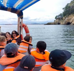 IMG-20231123-WA0043