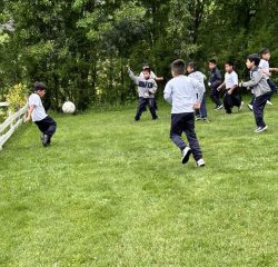 IMG_4520