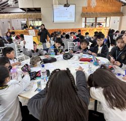 IMG_4528