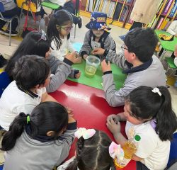 a68109a6-03f1-45de-9cb8-468b646272ec