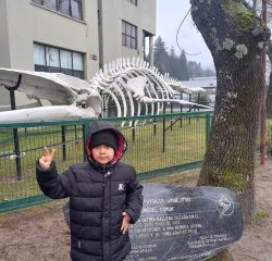 2.-IMG-20240725-WA0015