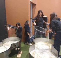 IMG-20240731-WA0061