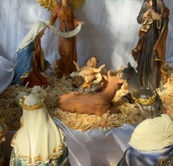 PHOTO-2024-12-23-22-16-01