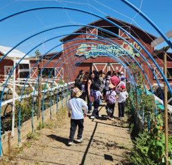 WhatsApp Image 2024-12-20 at 09.44.28