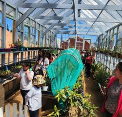 WhatsApp Image 2024-12-20 at 09.45.12