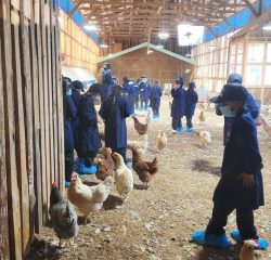 WhatsApp Image 2024-12-20 at 09.45.34