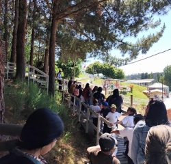 WhatsApp Image 2024-12-20 at 09.46.06