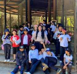 WhatsApp Image 2024-12-20 at 09.47.30