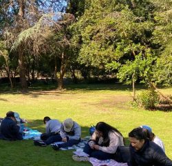 WhatsApp Image 2024-12-20 at 09.47.57