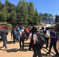 WhatsApp Image 2024-12-20 at 09.50.14