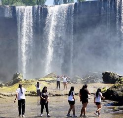 WhatsApp Image 2024-12-20 at 09.51.06