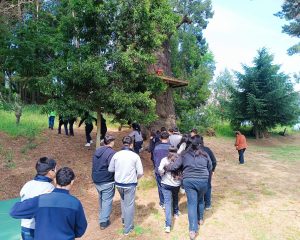 f0904215-bf6f-4d5b-a5ac-4f8142b35e1c